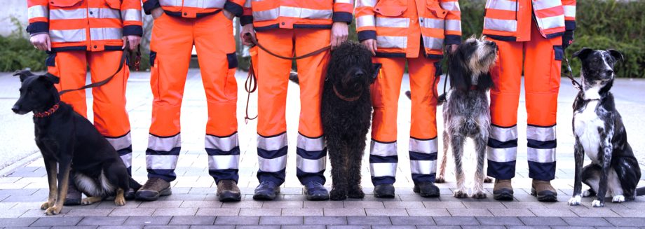 Rettungshundestaffel Hunde in orange-uniformierten Rettungskräften stehen nebeneinander.
