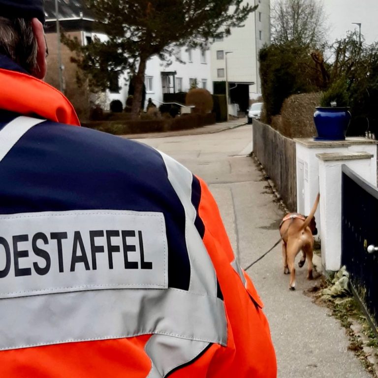 Ehrenamt mit Hund Ein Hund läuft an einem Gehweg, während eine Person in orangefarbener Jacke hinterhergeht.