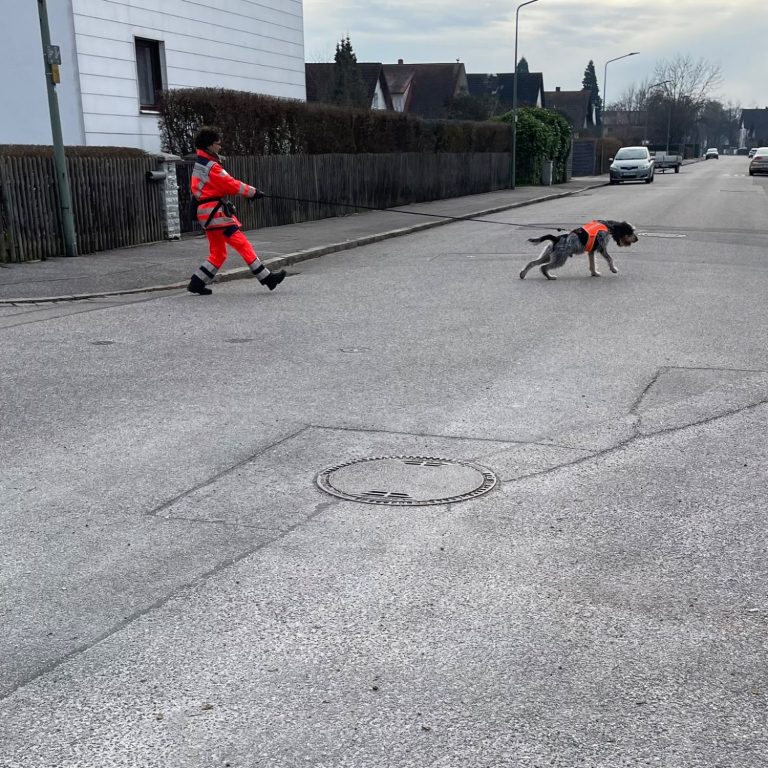 Beschäftigung mit Hund Frau in Warnkleidung trailt mit ihrem Hund.
